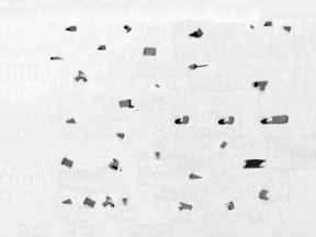 Metallographic micrograph showing oxide inclusions revealed after proper sample preparation