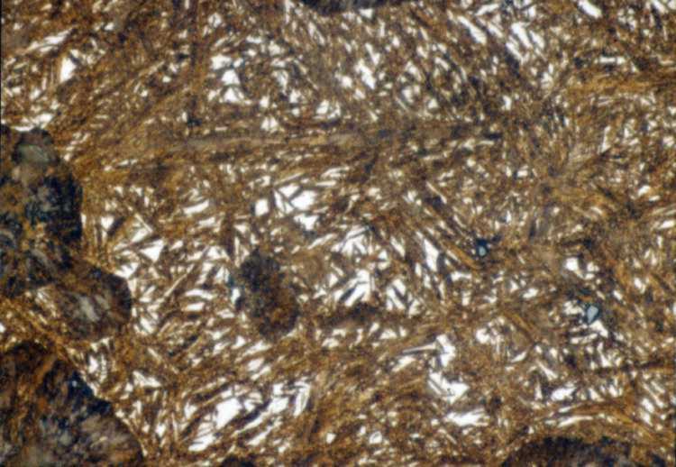 1095 Steel quenched to martensite, properly prepared and etched with Vilella's reagent at 1000X magnification
