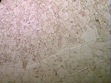 300-series austenitic stainless steel microstructure etched with Carpenter's reagent
