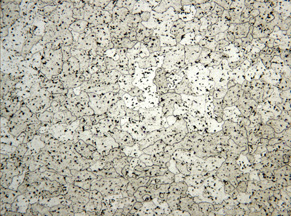 6061 aluminum alloy microstructure, properly prepared and etched