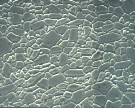 Alumina ceramic microstructure showing grain boundaries, properly prepared and etched