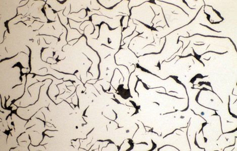 Gray iron microstructure - the type of material ancient metalworkers worked with