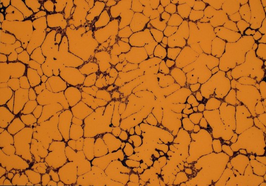 Tough Pitch Copper Microstructure, etched, 100X