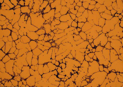 Metal matrix composite microstructure example