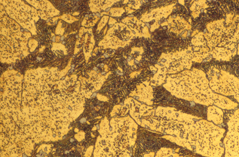 Manganese-aluminum bronze cast alloy microstructure showing phase distribution