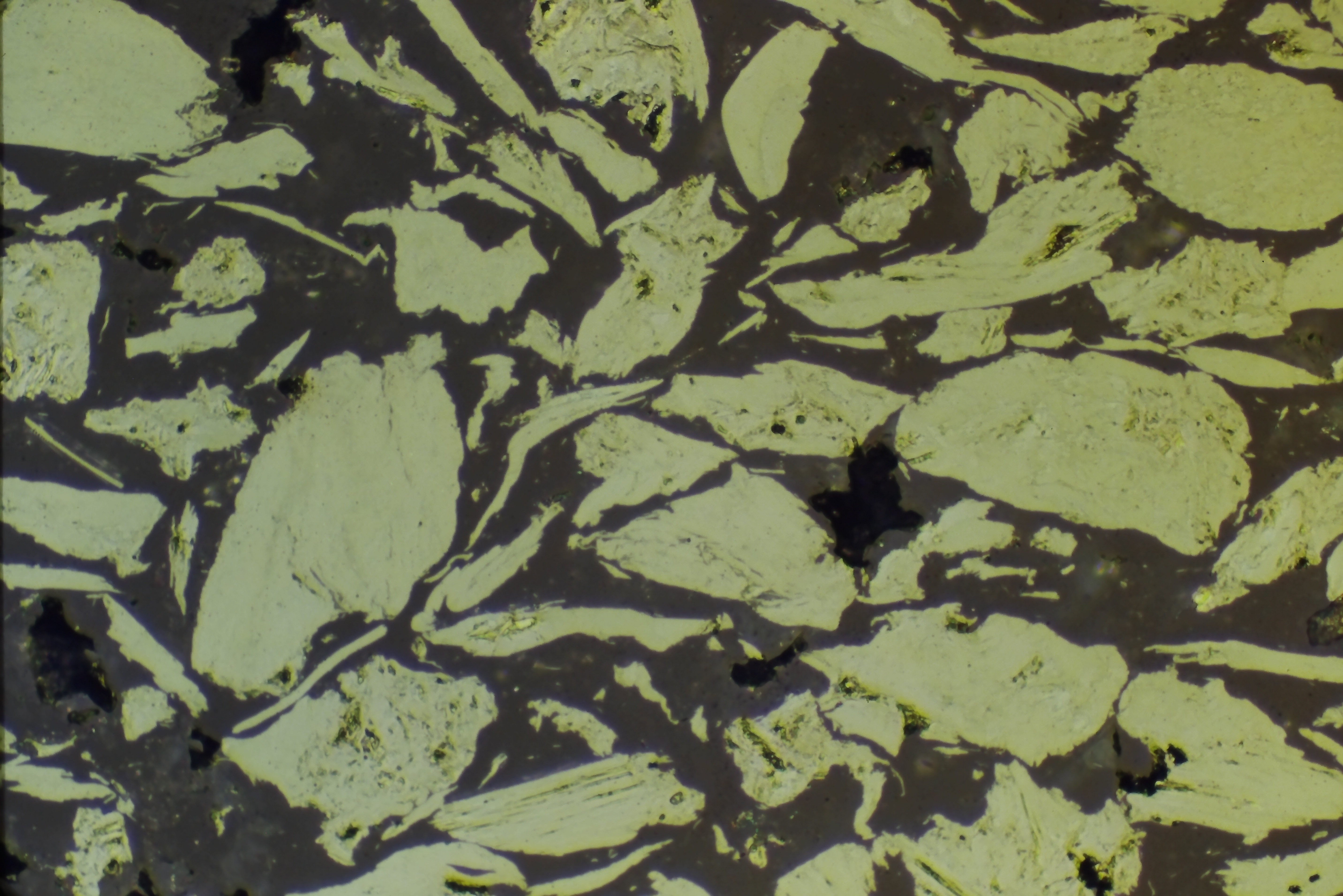 Polymer-graphite composite as-polished at 200X, demonstrating natural contrast from polishing without etching