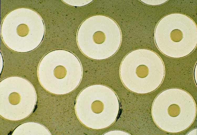 SiC fiber reinforced composite microstructure showing fiber-matrix interface