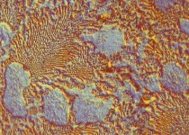 Tin-copper alloy microstructure, 100X DIC