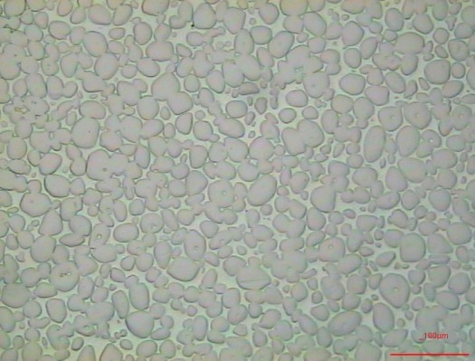 Tungsten refractory metal microstructure example