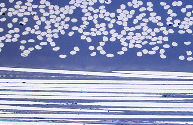 Carbon-carbon composite microstructure at magnification, showing proper preparation with intact fibers and clear matrix-fiber interface