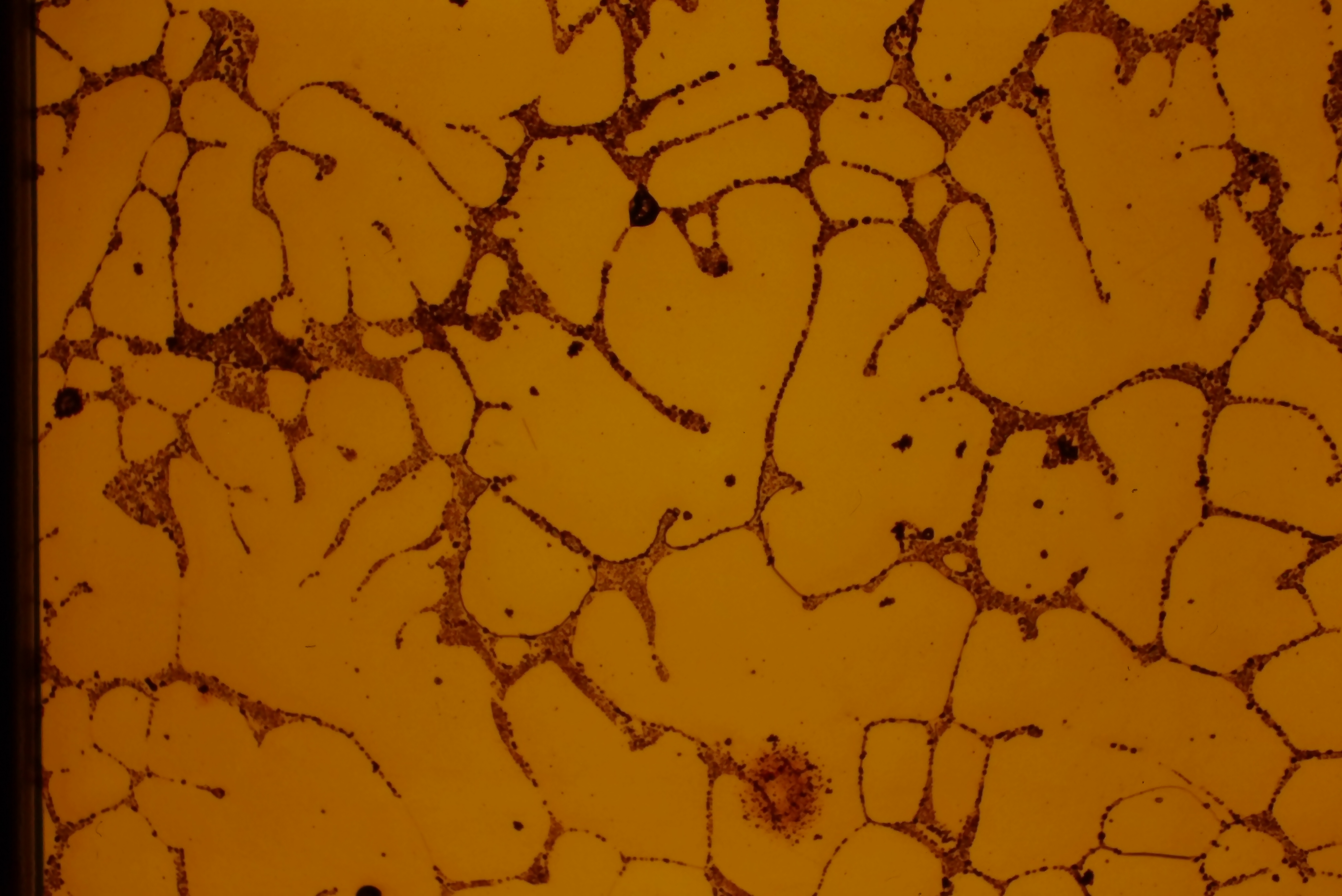 Tough pitch copper microstructure